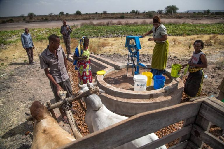 klimaatproject tanzania heifer