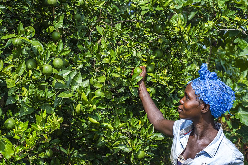 Learn4agribusiness Uganda